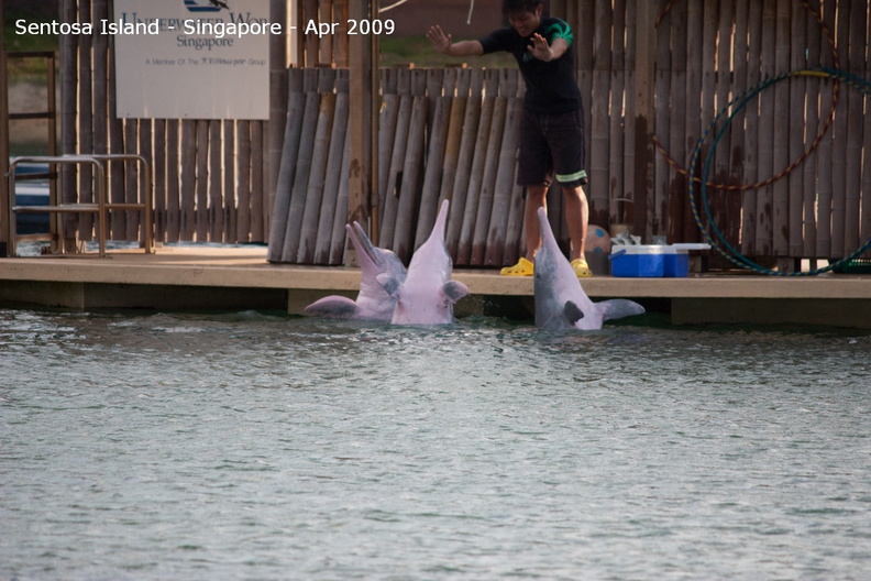 20090422_Singapore-Sentosa Island _58 of 138_.jpg
